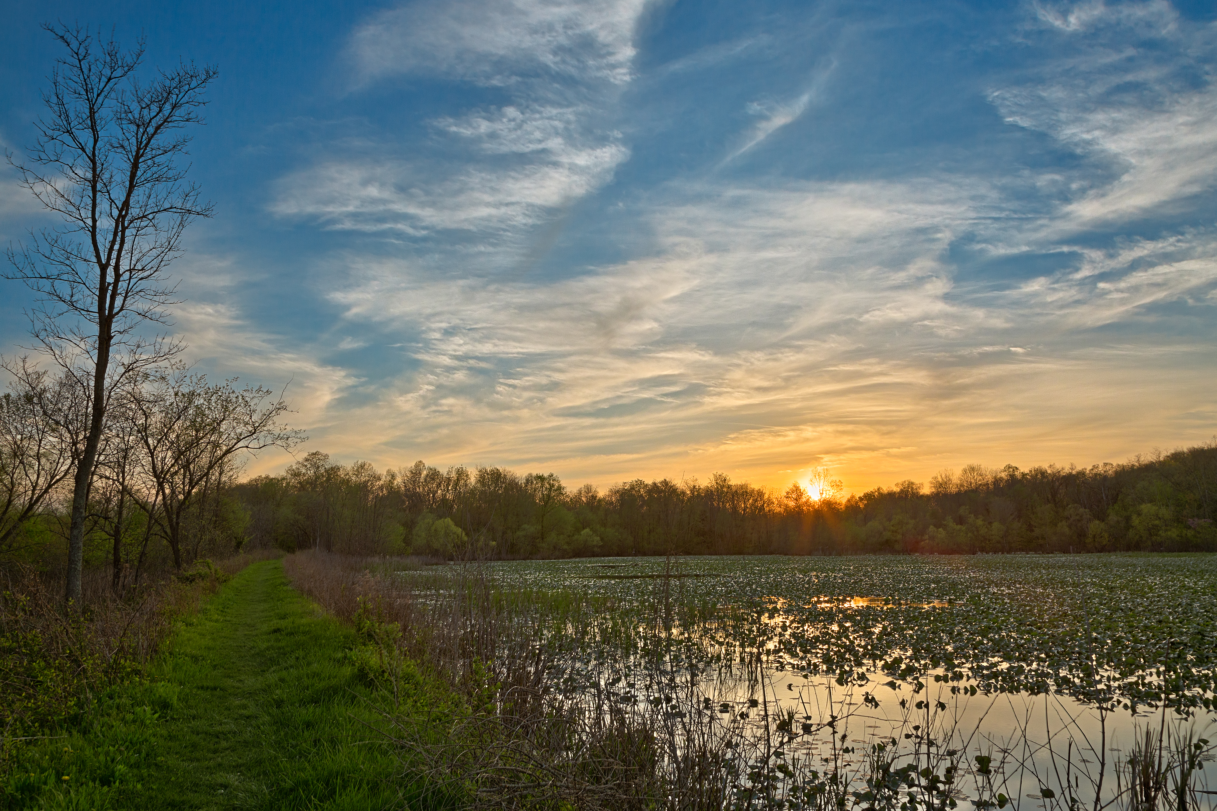 McKee-Beshers Sunset Marsh (freebie) by boldfrontiers