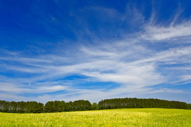 Wye Island Sky Field - Eco Harmony