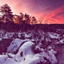 Great Falls Winter Twilight- Violet Velvet Fantasy