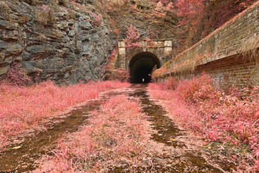 Paw Paw Tunnel - Pink Netherworld