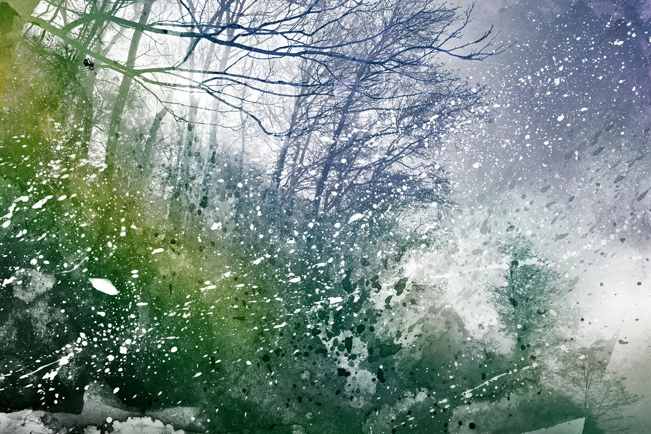 Acrylic Forest Blizzard by boldfrontiers