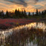 Autumn Dolly Sods Sunset II