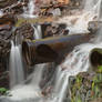 Dam Cannon Falls