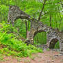 Forest Castle Ruins