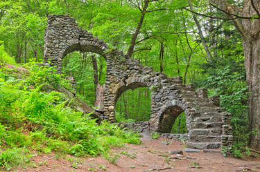 Forest Castle Ruins