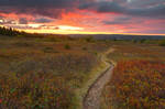 Dolly Sods Twilight Trail by boldfrontiers