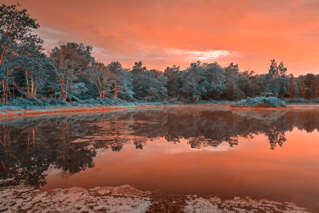 Opalescent Twilight Marsh by boldfrontiers
