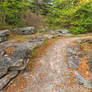 Spruce Knob Stone Trail