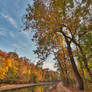 Autumn Sun Kissed Canal