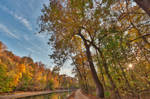 Autumn Sun Kissed Canal
