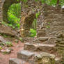Forest Castle Ruins II