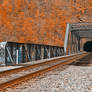 Graffiti Train Track - Amber Autumn