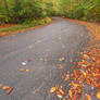 Winding Autumn Forest Road