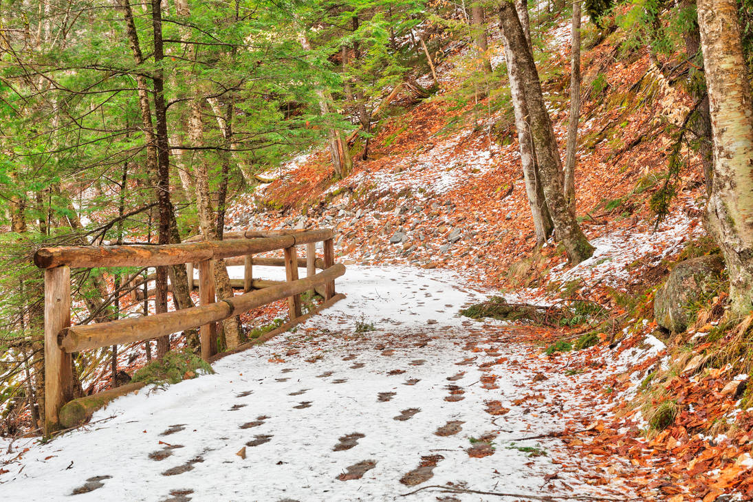 Sabbaday Winter Forest Trail by boldfrontiers Sabbaday Winter Forest Trail by boldfrontiers