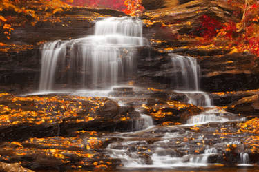 Autumn Oil Impressions of Onondaga Falls