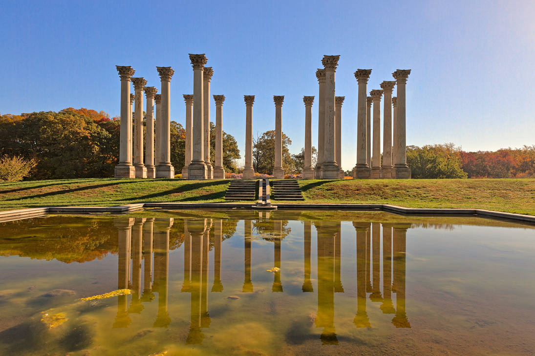 Capitol Arboretum Columns III (freebie) by boldfrontiers