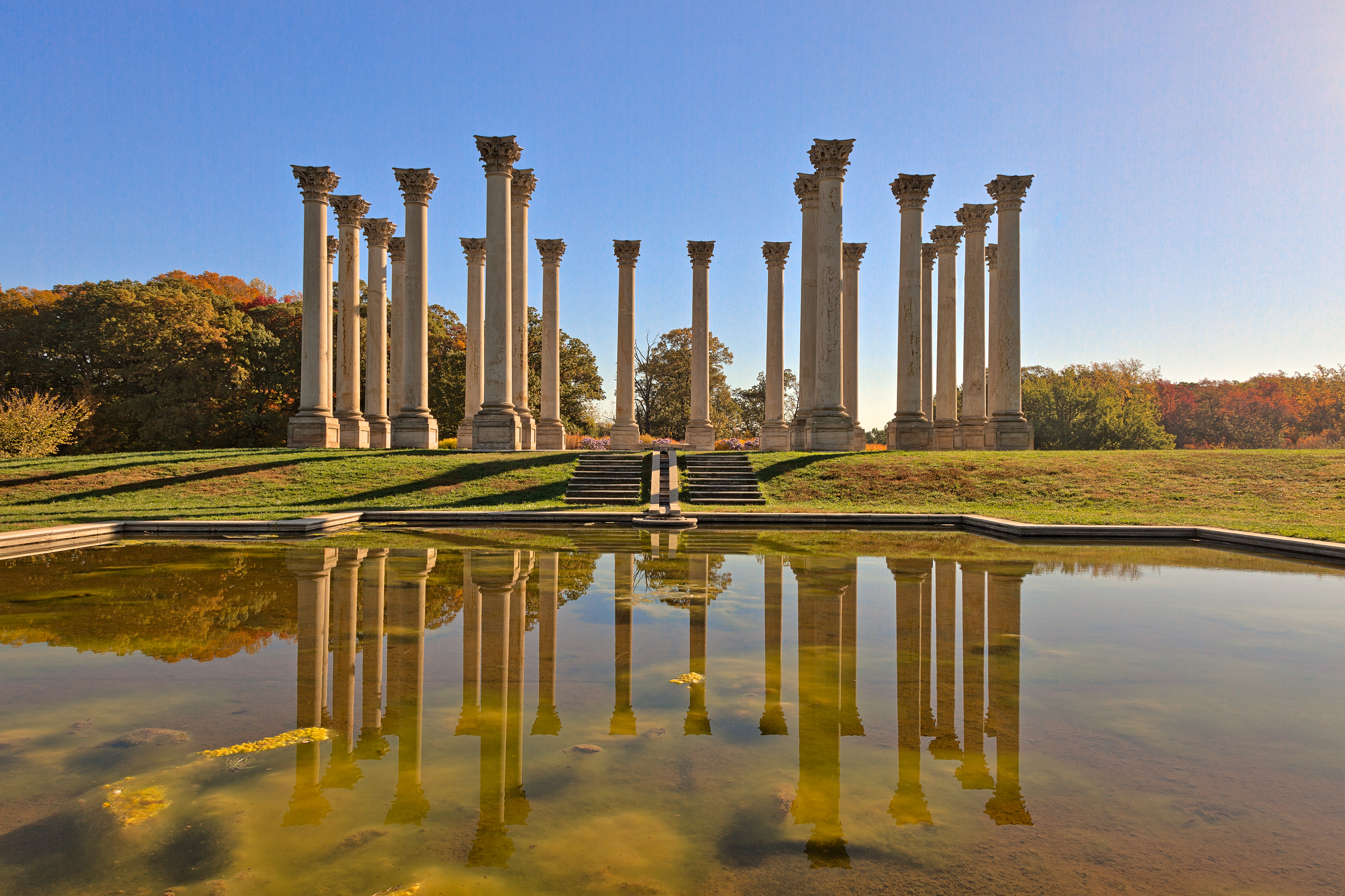 Capitol Arboretum Columns III (freebie) by boldfrontiers