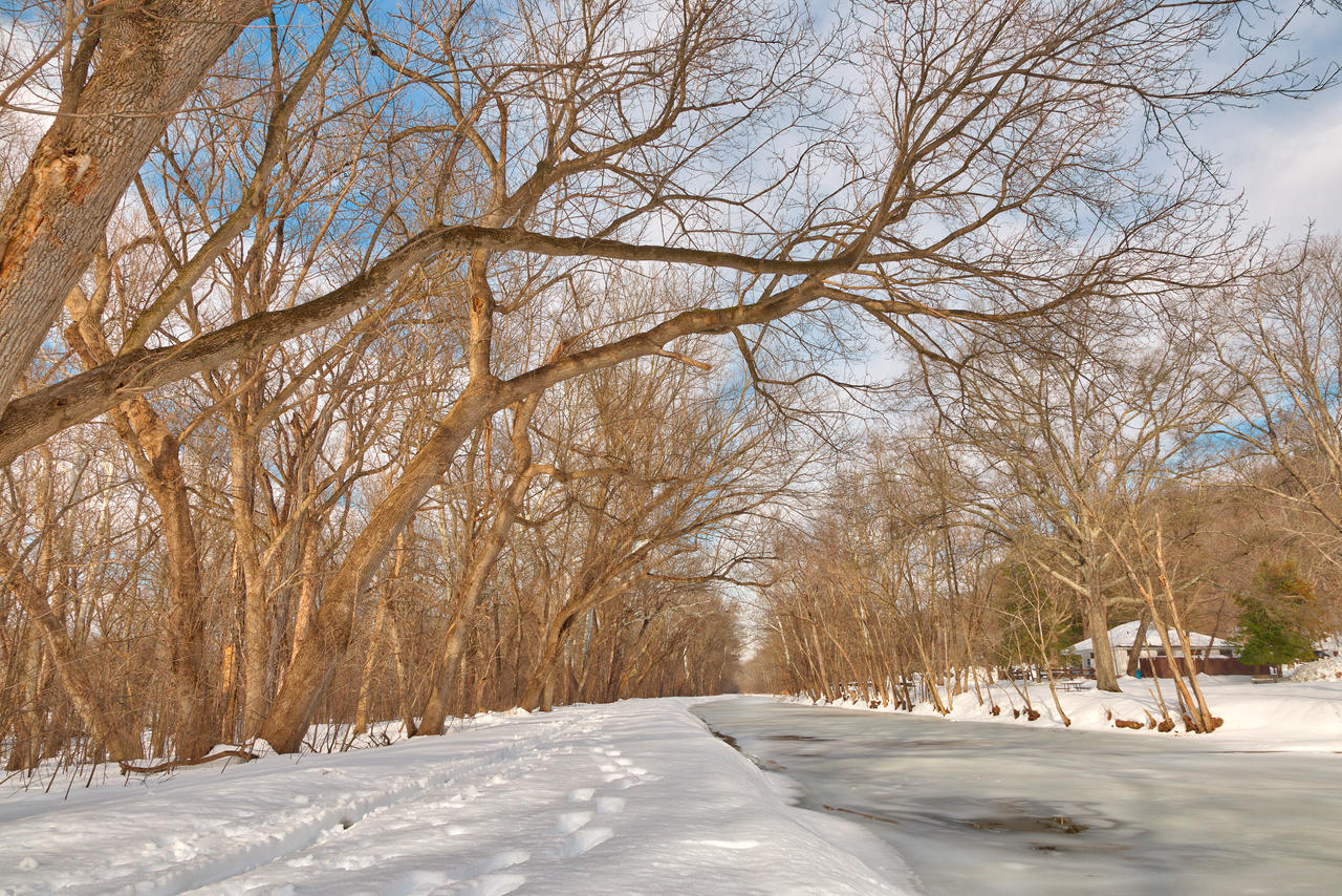 Winter Canal Trail