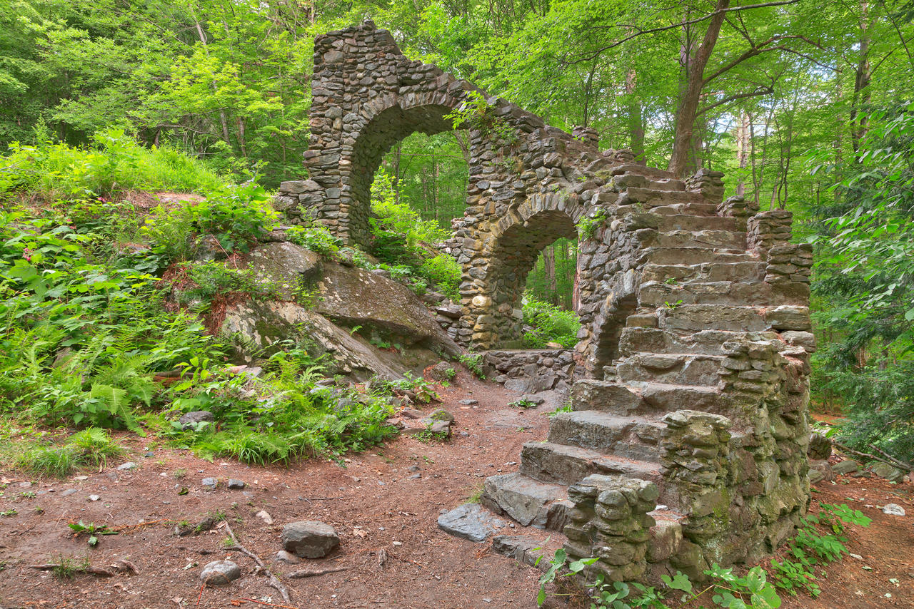 Forest Castle Ruins III by boldfrontiers