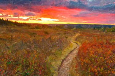 Twilight Oil Impressions of Dolly Sods