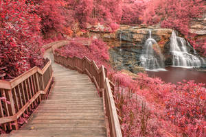 Winding Pink Fantasy Falls