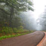 Misty Forest Road - Spruce Knob