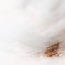 Blinding Amber Mountain Fog