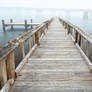 Misty Assateague Pier - High Key