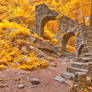 Gold Forest Castle Ruins