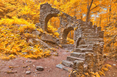 Gold Forest Castle Ruins