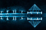 Blue Winter Night - Meadowlark Gardens