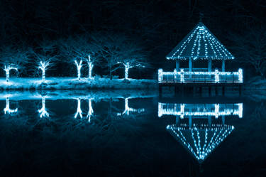 Blue Winter Night - Meadowlark Gardens