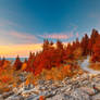 Spruce Knob Twilight Trail - Autumn Fantasy