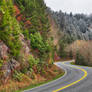 Winding Autumn Frost Road - Great Smoky Mountains