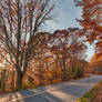 Autumn Blue Ridge Park Rays