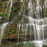 Moss Wall Waterfall