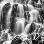 Hays Rugged Falls - Black and White