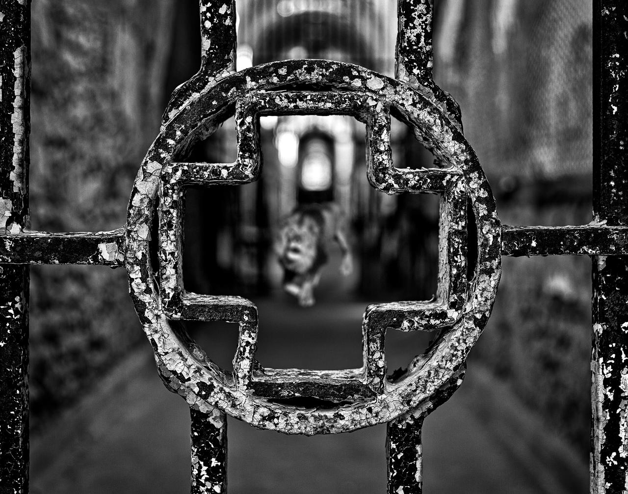 Dead Center by boldfrontiers