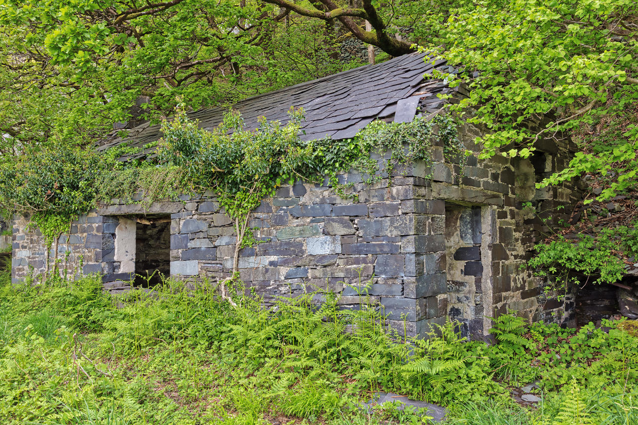 Organic Quarry Ruins by boldfrontiers