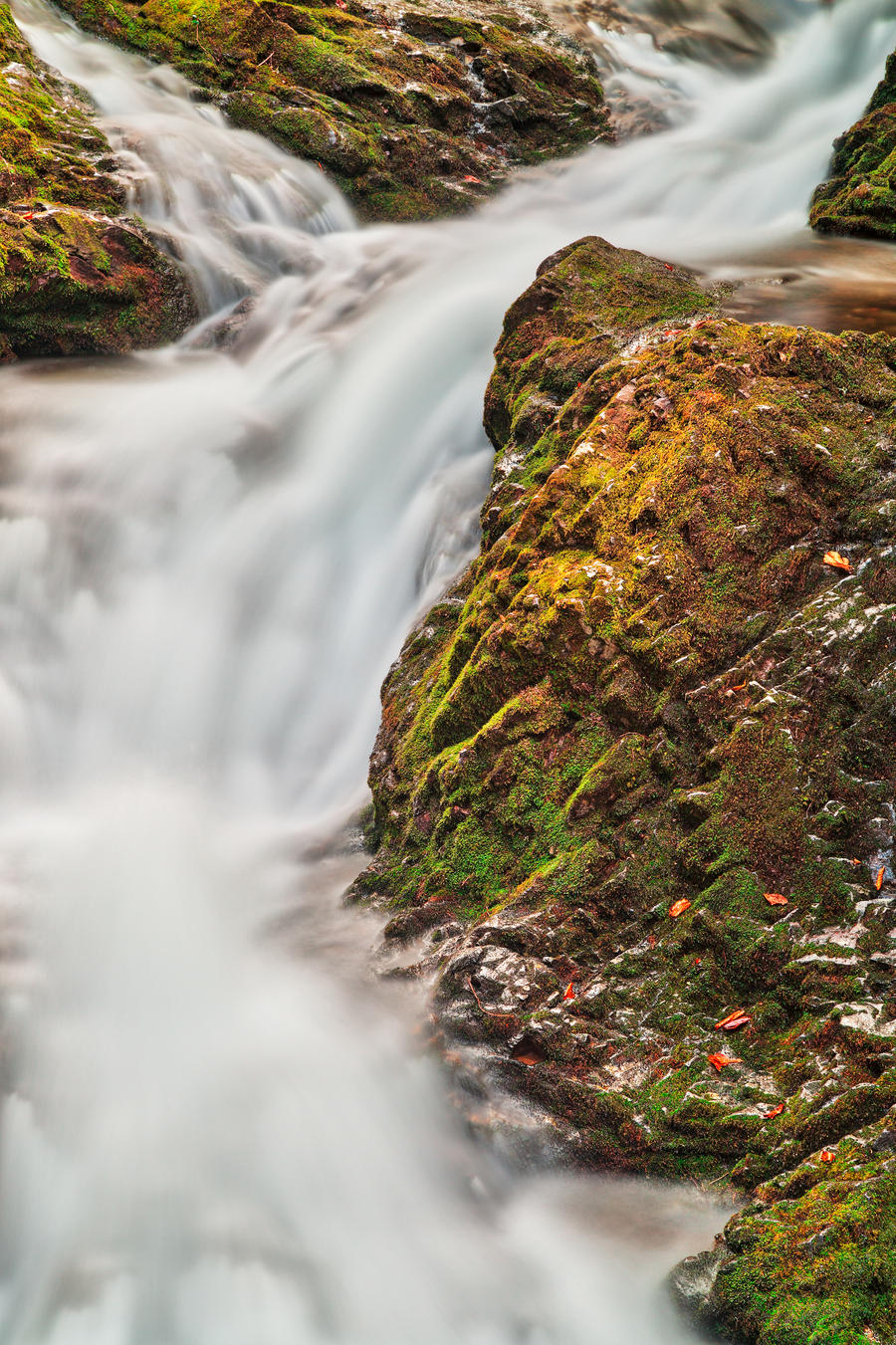 Dickson Fork Stream by boldfrontiers