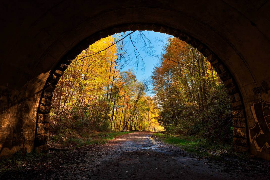 Autumn Tunnel to Nowhere (freebie) by boldfrontiers