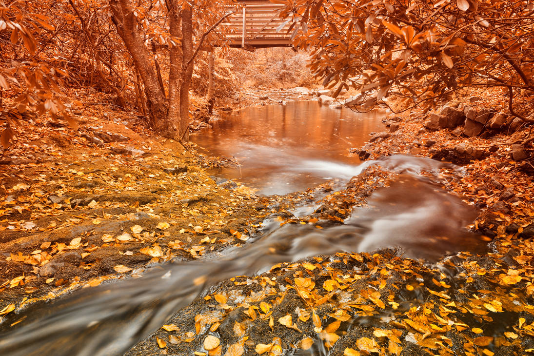 Hawk Run Autumn Fantasy by boldfrontiers