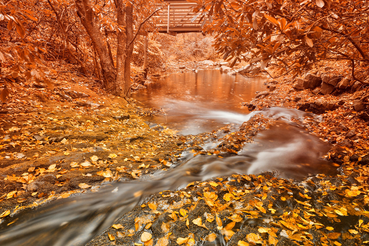 Hawk Run Autumn Fantasy by boldfrontiers