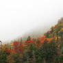 Autumn Fog of White Mountain (freebie)