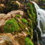 Loup of Fintry Moss Waterfall