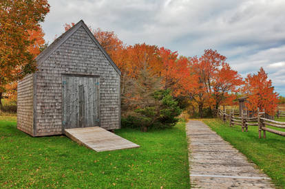 Rustic Autumn Rustico