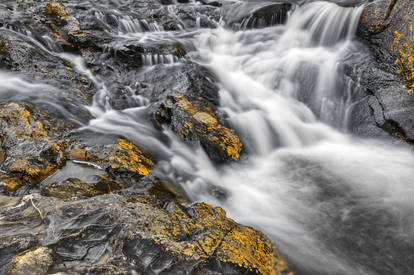 Beaver Pond Cascades