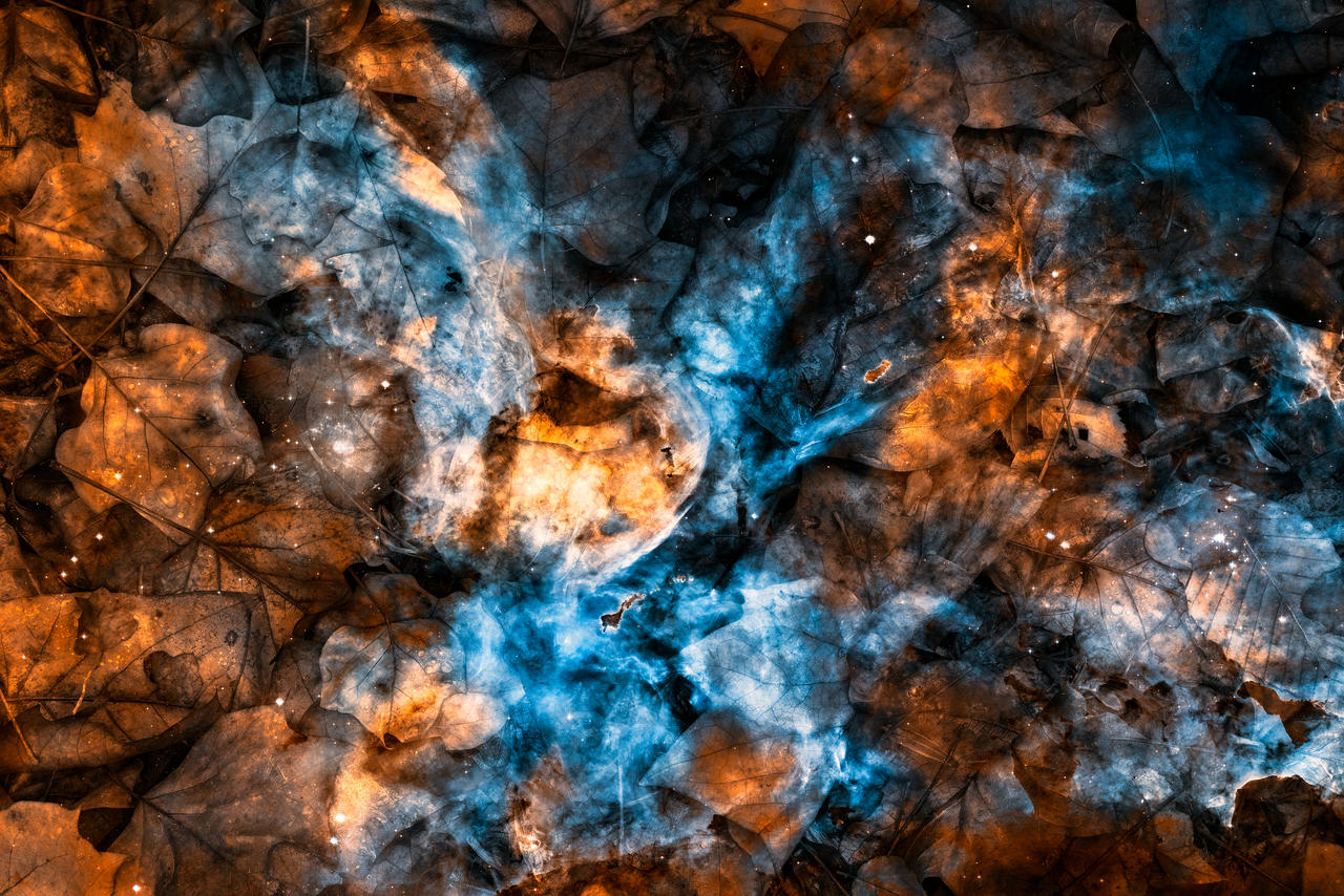 Cosmic Foliage Decay by boldfrontiers