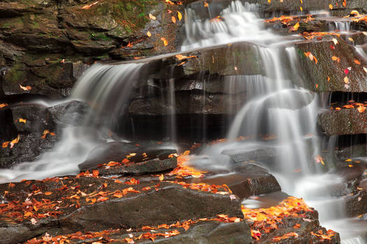 Splitting Autumn Falls of Garden Creek