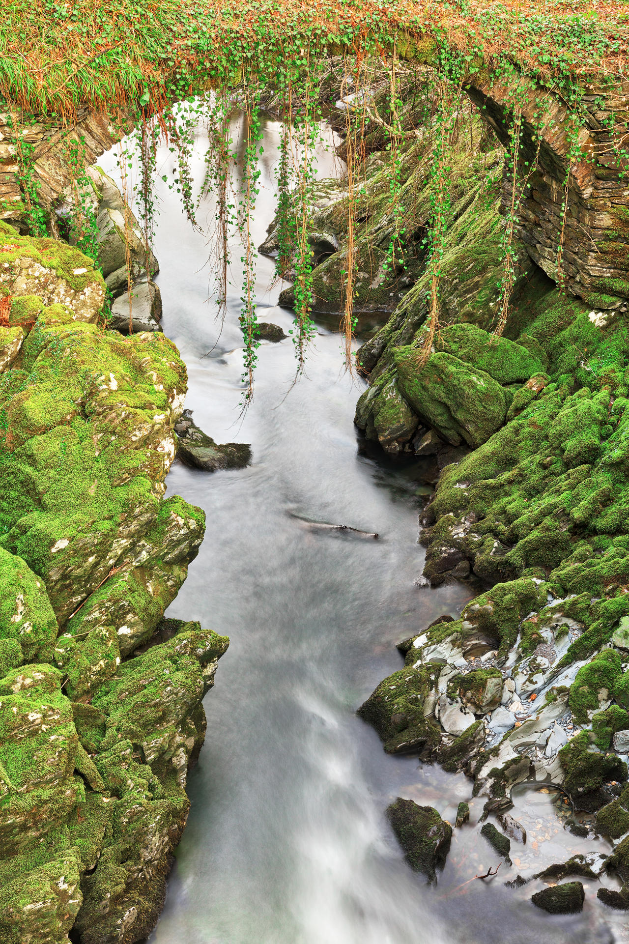 Penmachno Roman Moss Bridge by boldfrontiers